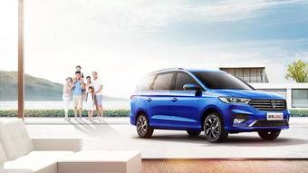 十三万内国产6座车视频,空间与性能的完美融合”