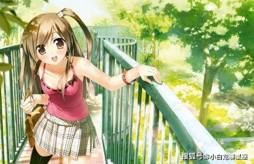 国产动漫玄关美女视频,国产动漫中的神秘魅力