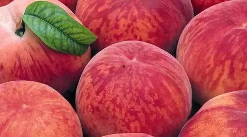 国产桃子促销视频大全,促销视频大全亮点集锦