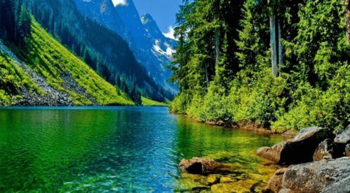 国产无版权自然风光视频,无版权自然风光视频集锦