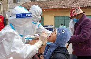 国产大茄子视频播放,视频播放背后的热门现象解析