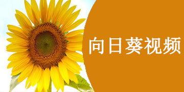 向日葵视频app国产