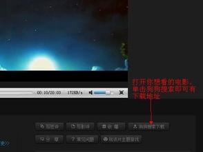 调教视频国产 迅雷下载  第1张