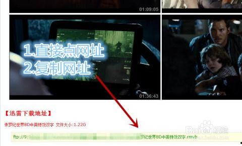 调教视频国产 迅雷下载  第3张