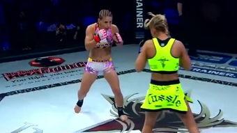 大胸国产精品视频,一场视觉盛宴的深度解析  第2张