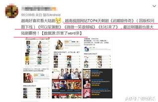 国产近亲视频网站,揭秘国内热门影视平台背后的故事  第2张