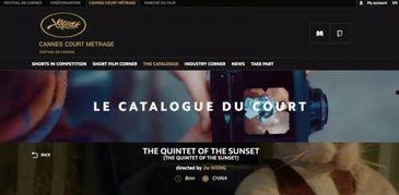 国产近亲视频网站,揭秘国内热门影视平台背后的故事  第3张