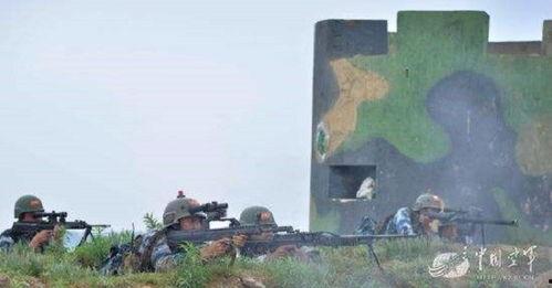 国产精确射手步枪视频,精准射击的利器，展现我国军工实力  第2张